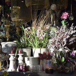 L'atelier Fleuri S.p.r.l.