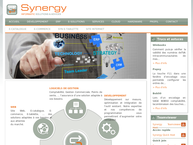 Synergy Informatic S.a.
