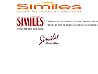 Similes, Federatie Van Vlaamse Similes-Kringen V.z.w.