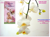 Créche Des Orchidées A.s.b.l.