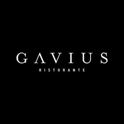 Gavius