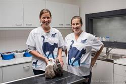 Vets & Pets, Righetti & Philipsen Bvba