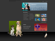 Website van Nélis C 