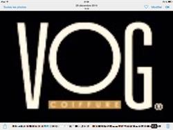 Vog