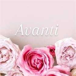 Avanti Coiffure