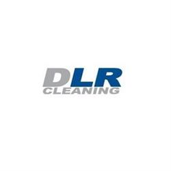 DLR Cleaning