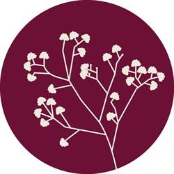 Bloemenorchid