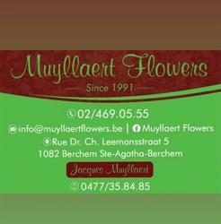 Muyllaert Flowers