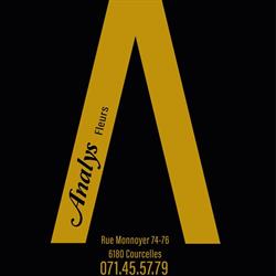Analy's