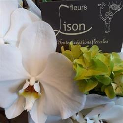Lison (Fleurs)