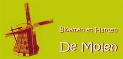 Bloemen de Molen Bvba