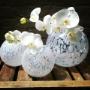 image-fleuriste fiori 3