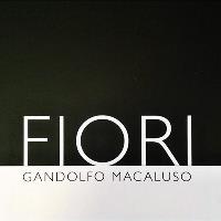 Fiori Fleurs