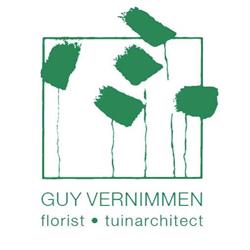 Vernimmen Guy