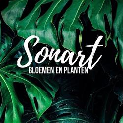 Sonart
