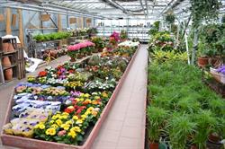 Bloemencenter Van Roy