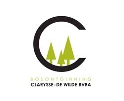 Clarysse-de Wilde