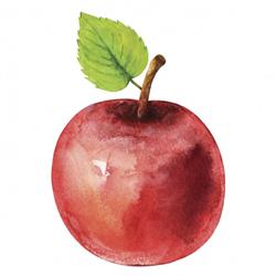 De Fruithoeve