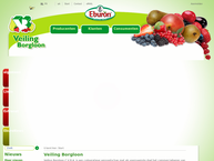 Belfrutex