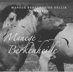 Berkenheide