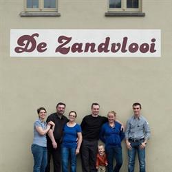 De Zandvlooi
