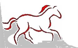 Manege B-RANCH 2B vzw