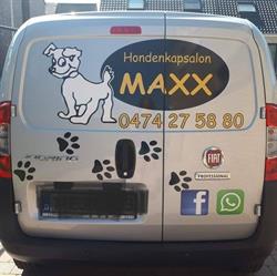 Maxx