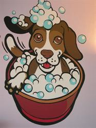 Dog Wellness