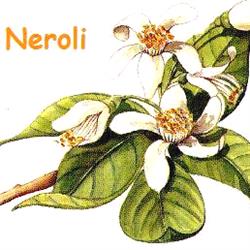 Neroli