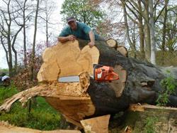 boomwerken.be Henk Onzea