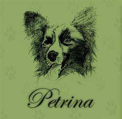 Petrina
