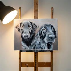 Elke Penders, Paintings & More
