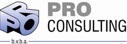 Pro Consulting