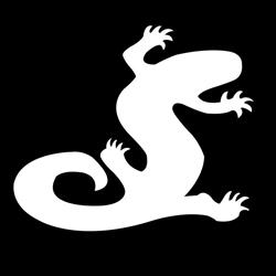 Salamander de