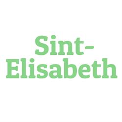 Sint-Elisabeth-Instituut