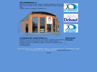 Rubberhuis nv (Het)/Delsaut