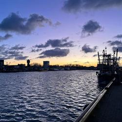De Blauwe Parel