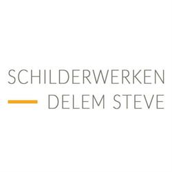 Delem Steve Schilderwerken