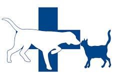 Dierenarts Liesbet Guillaume