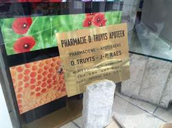 Truyts d