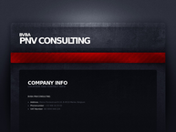 Pnv Consulting