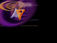Mercurius Investment Group nv