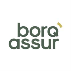 Borq Assur SA