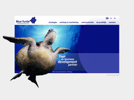 Blue Turtle Business Partners bvba