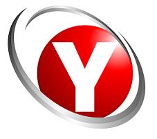 Ysearch International