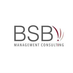 Bsb Management Consulting
