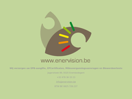 Website van Enervision 