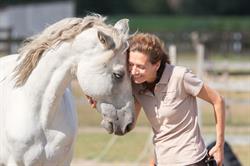 Perlan / Vakantie te paard