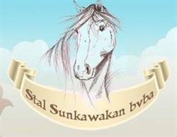 Stal Sunkawakan Bvba