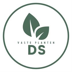 Vaste Planten Dirk de Swaef